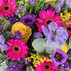 Florist Choice Oasis Arrangement