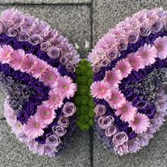 Butterfly funeral tribute 