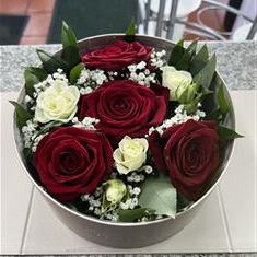 Red rose Alice surprise 