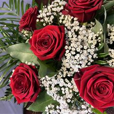 Red rose gift box